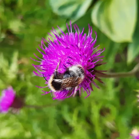 Duplex T2 Bis Au Coeur De - 6 Personnes - Fr-1-234-134 Apartament *